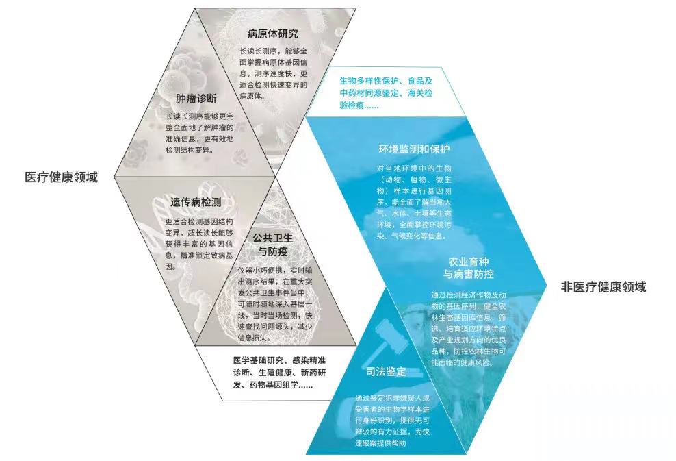 乘势而上，引领国产纳米孔基因测序矩阵化新征程