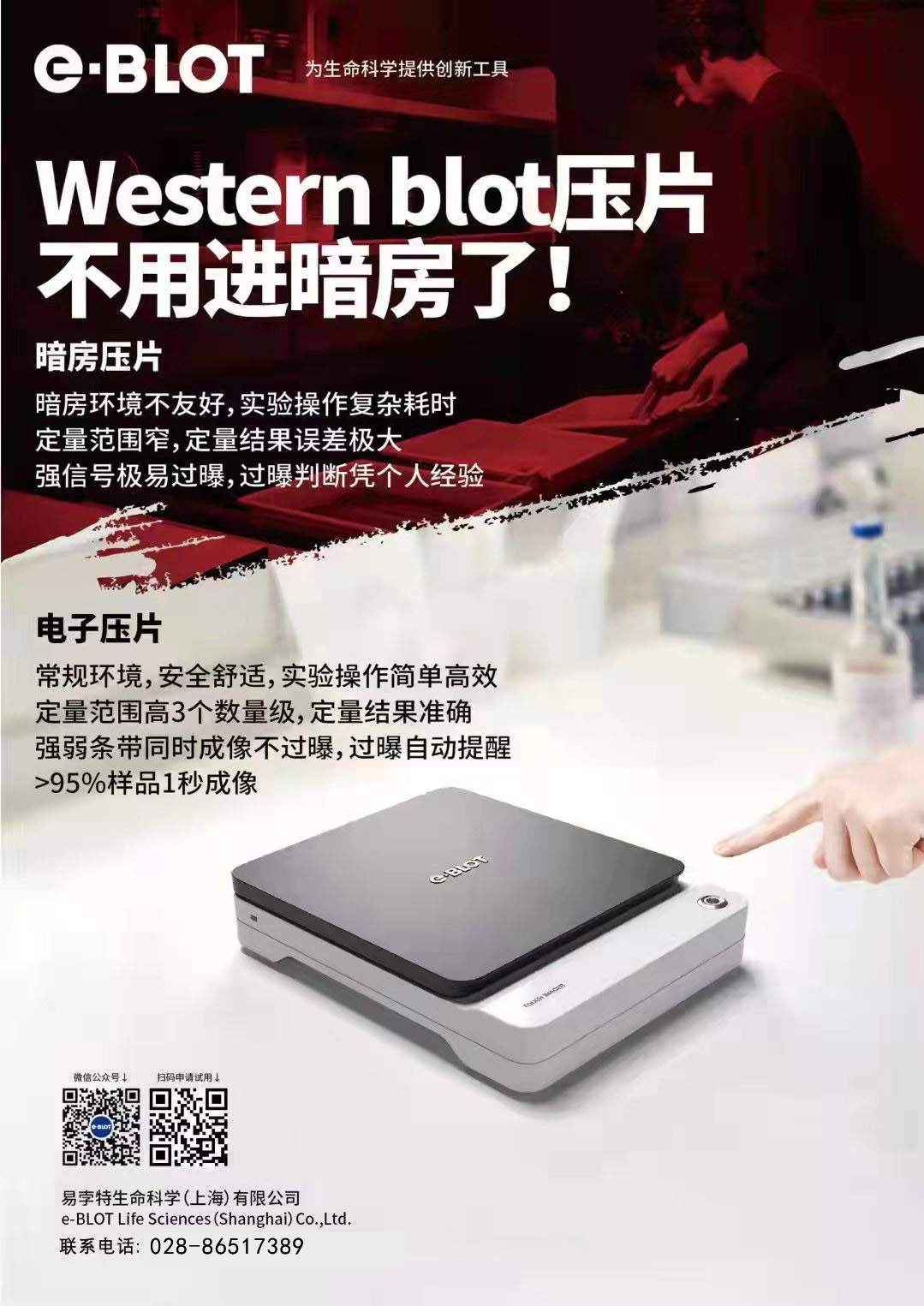 你的Western Blot实验是如何开始的？